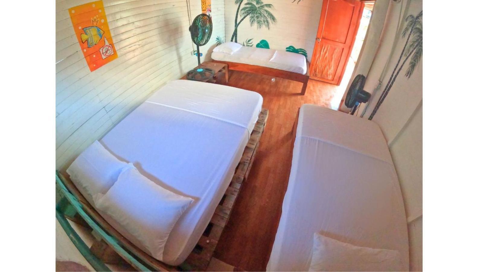 Posada Nativa Casa Azul 布兰卡滩 外观 照片
