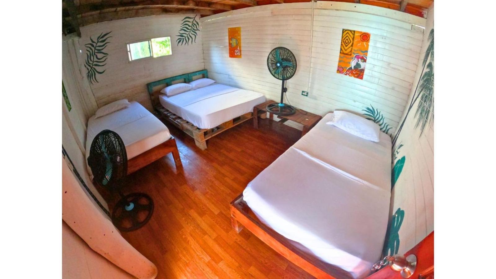 Posada Nativa Casa Azul 布兰卡滩 外观 照片